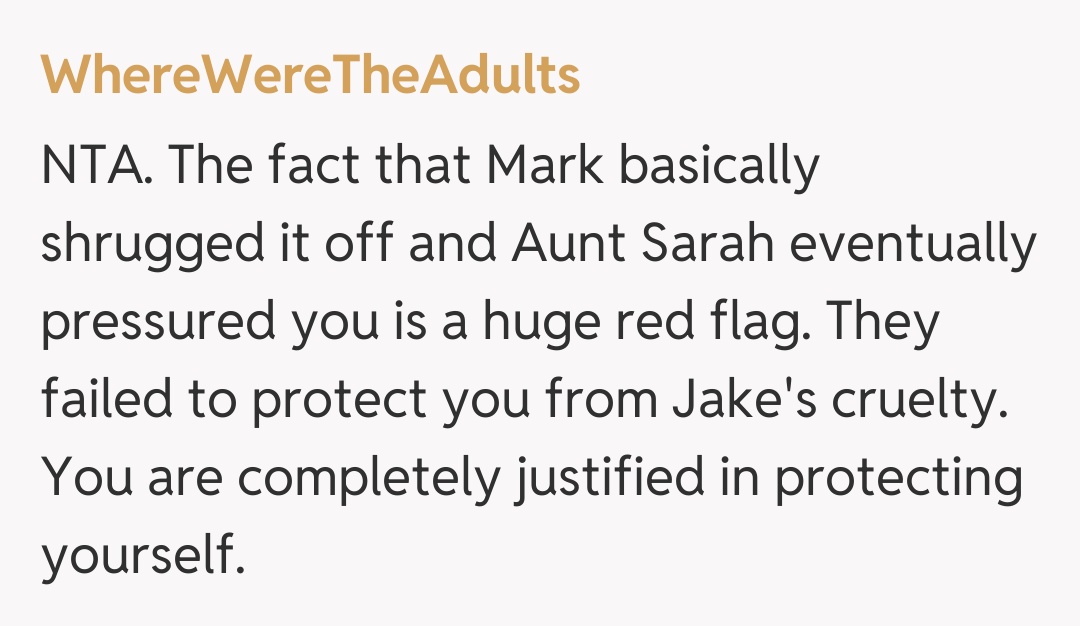 Comentariu de la WhereWereTheAdults