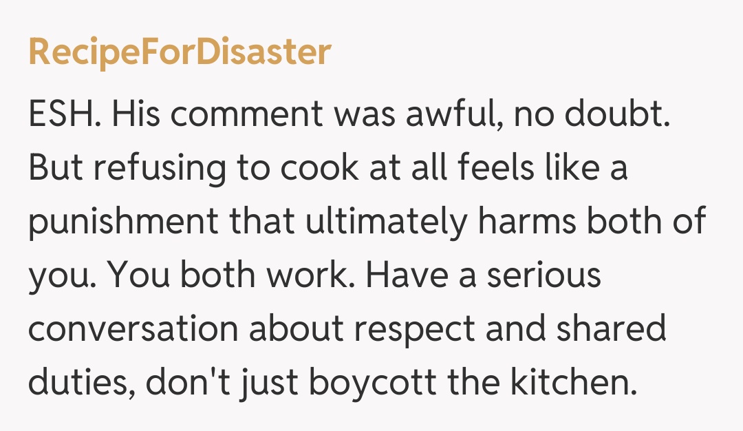 Comentariu de la RecipeForDisaster