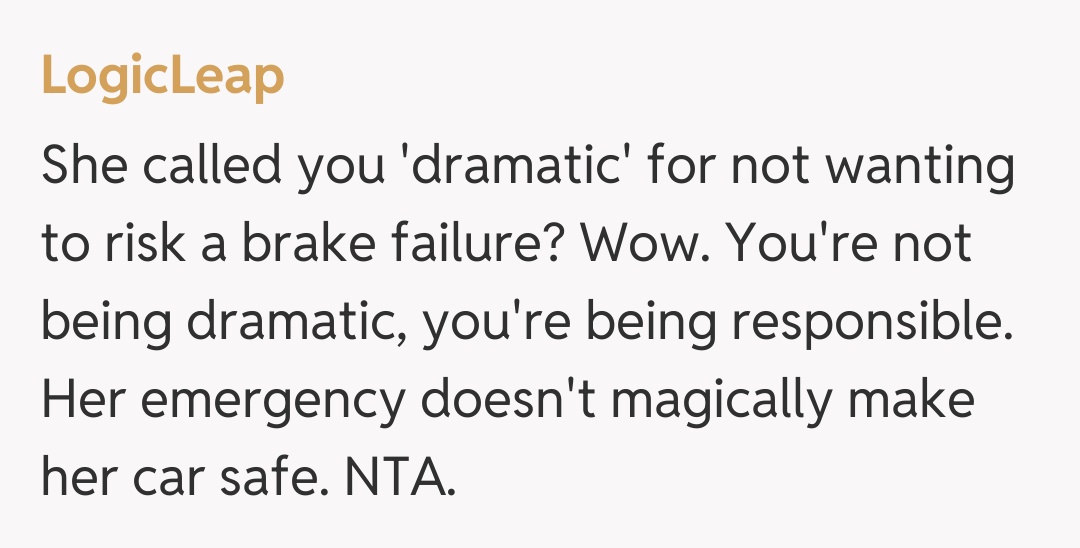 Comentariu de la LogicLeap