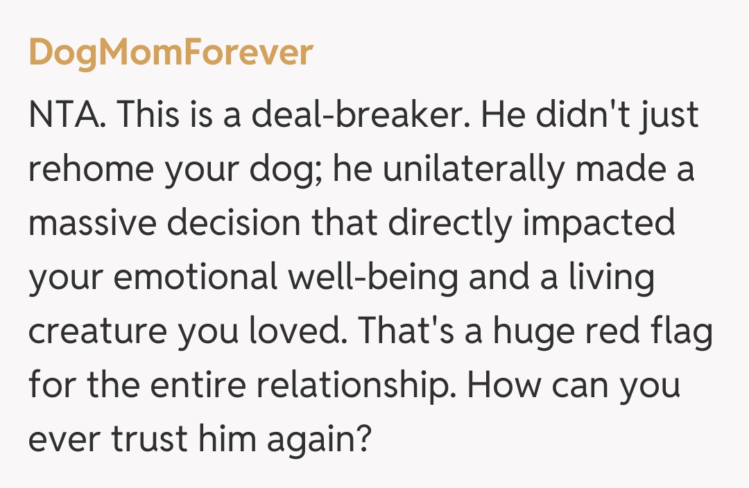 Comentariu de la DogMomForever