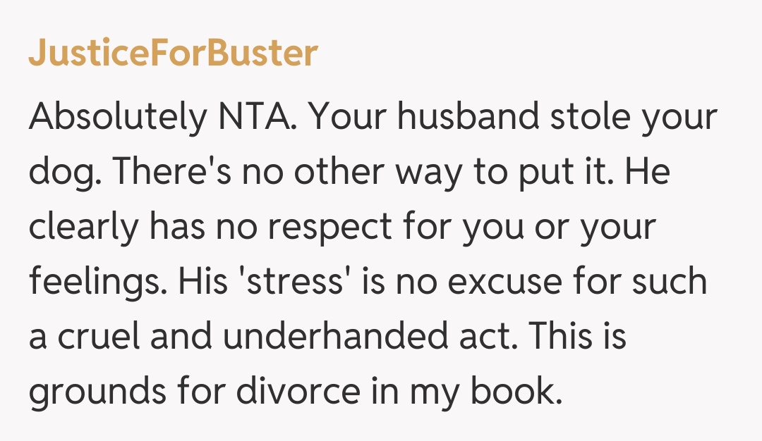 Comentariu de la JusticeForBuster