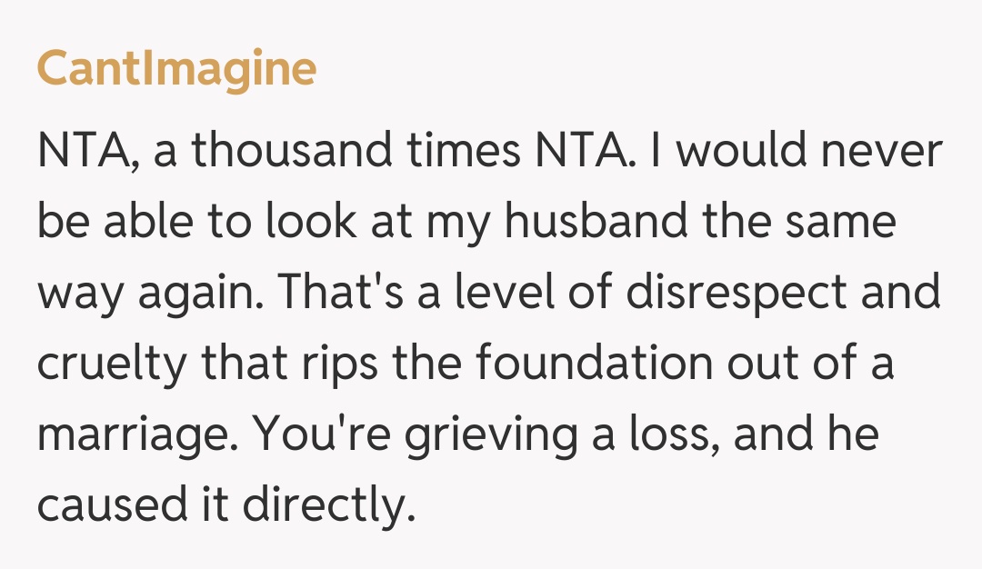 Comentariu de la CantImagine