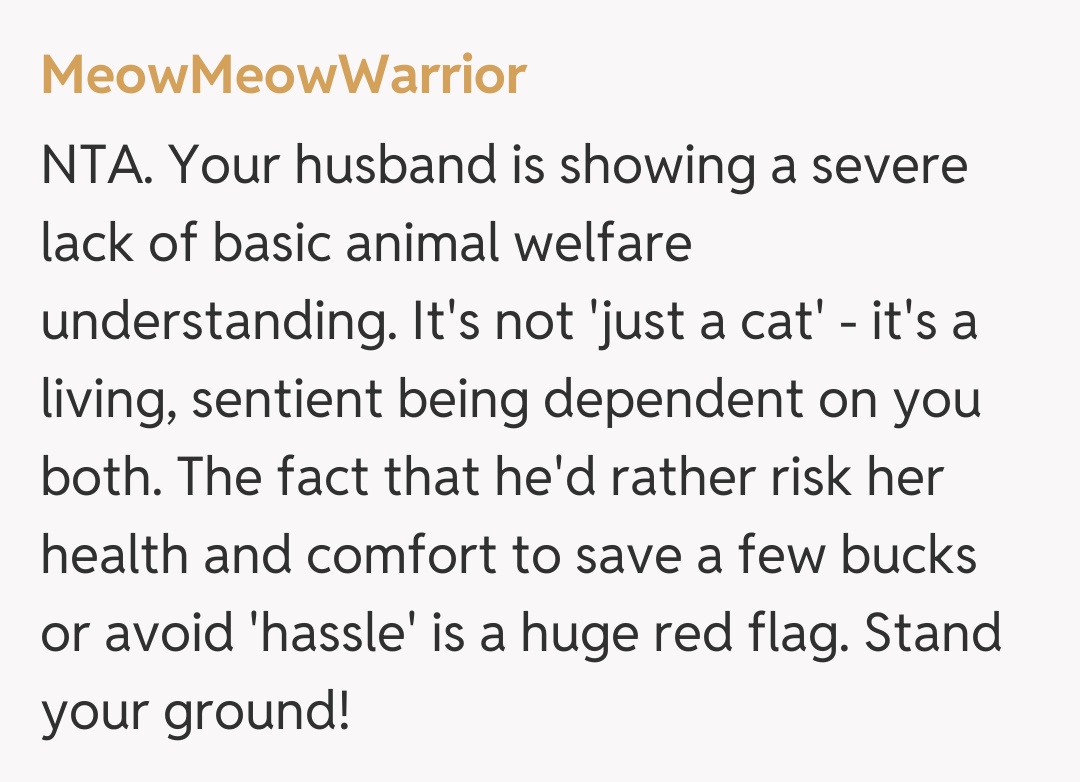 Comentariu de la MeowMeowWarrior