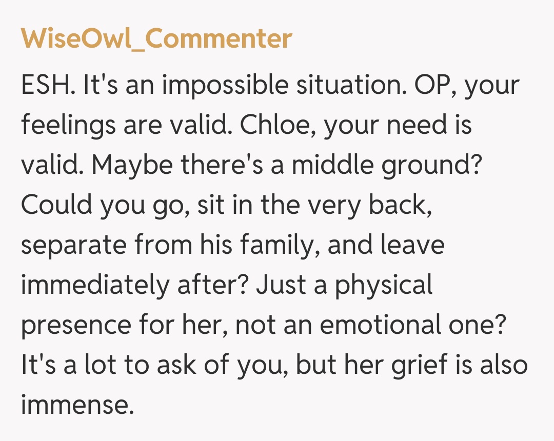 Comentariu de la WiseOwl_Commenter