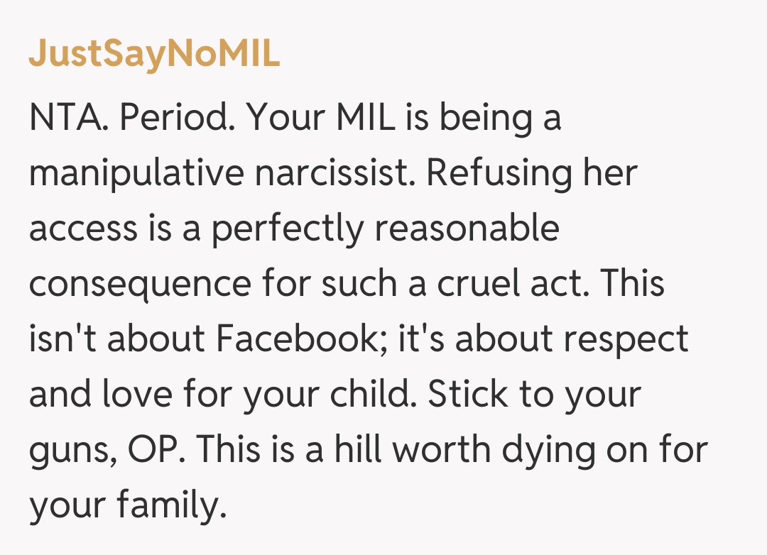 Comentariu de la JustSayNoMIL