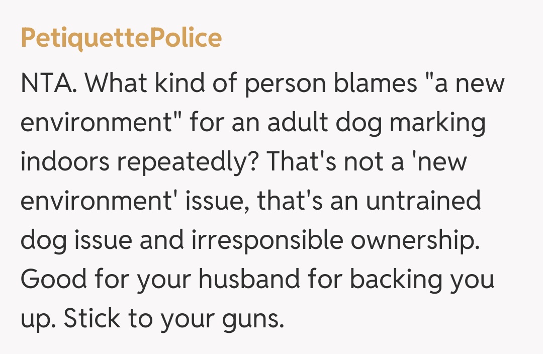 Comentariu de la PetiquettePolice