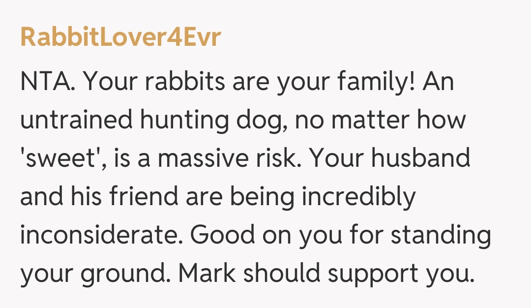 Comentariu de la RabbitLover4Evr