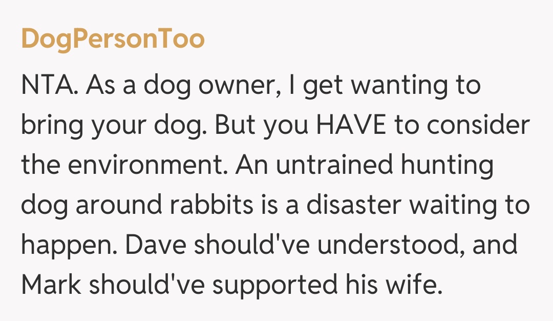 Comentariu de la DogPersonToo