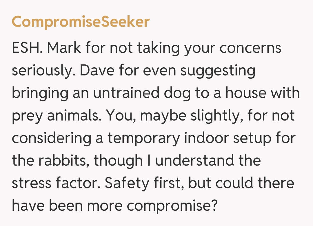 Comentariu de la CompromiseSeeker