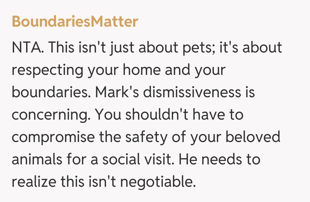 Comentariu de la BoundariesMatter