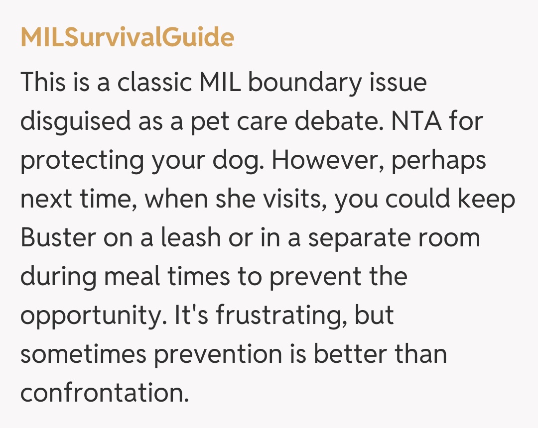 Comentariu de la MILSurvivalGuide