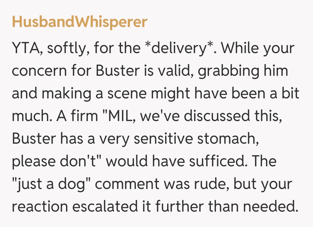 Comentariu de la HusbandWhisperer