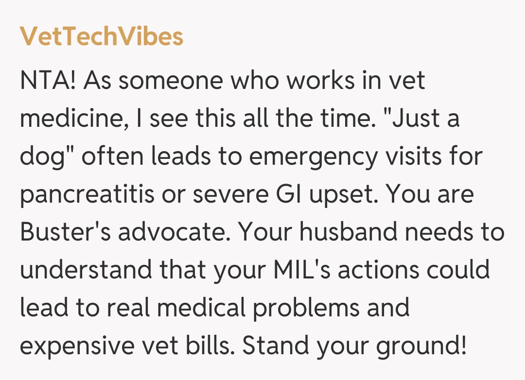 Comentariu de la VetTechVibes