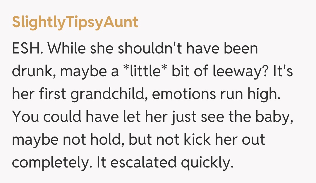 Comentariu de la SlightlyTipsyAunt