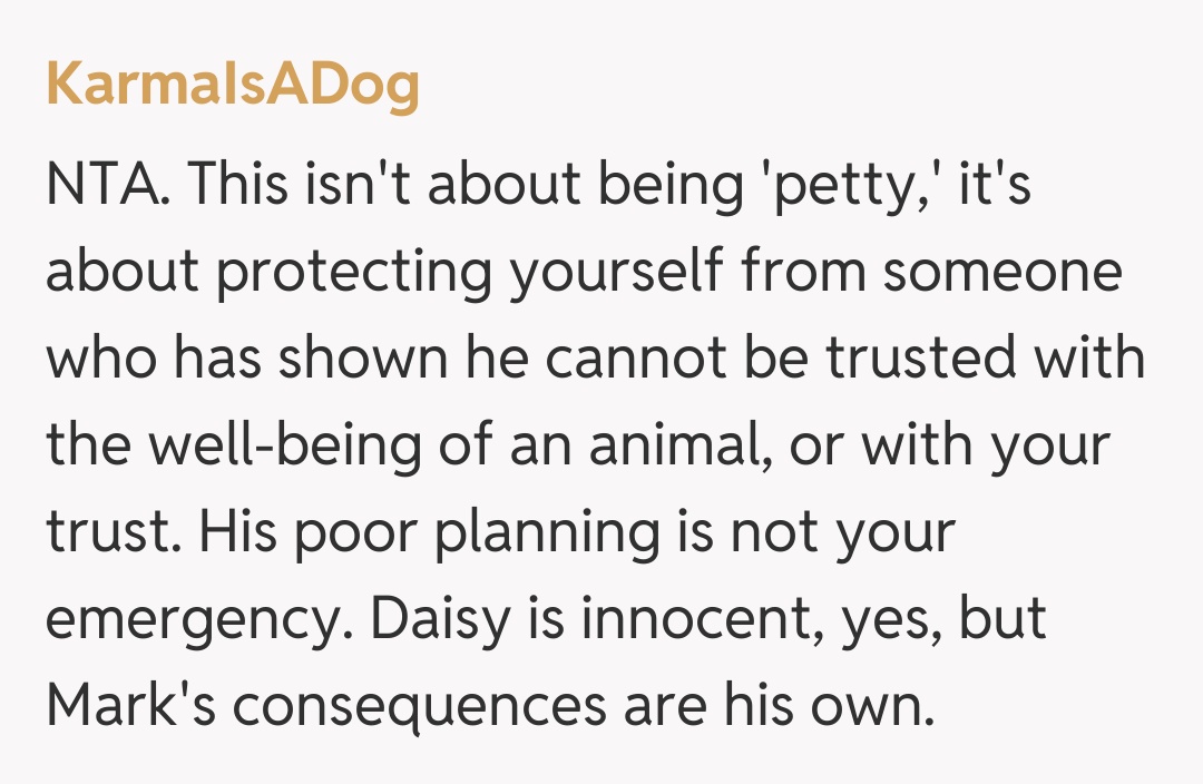 Comentariu de la KarmaIsADog