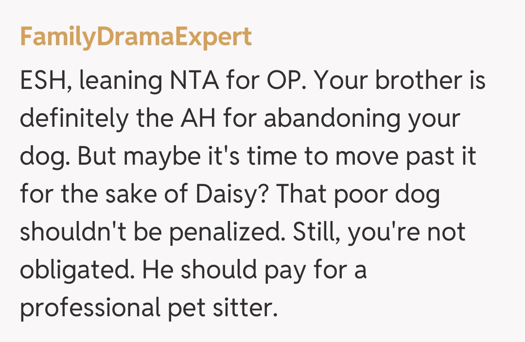 Comentariu de la FamilyDramaExpert