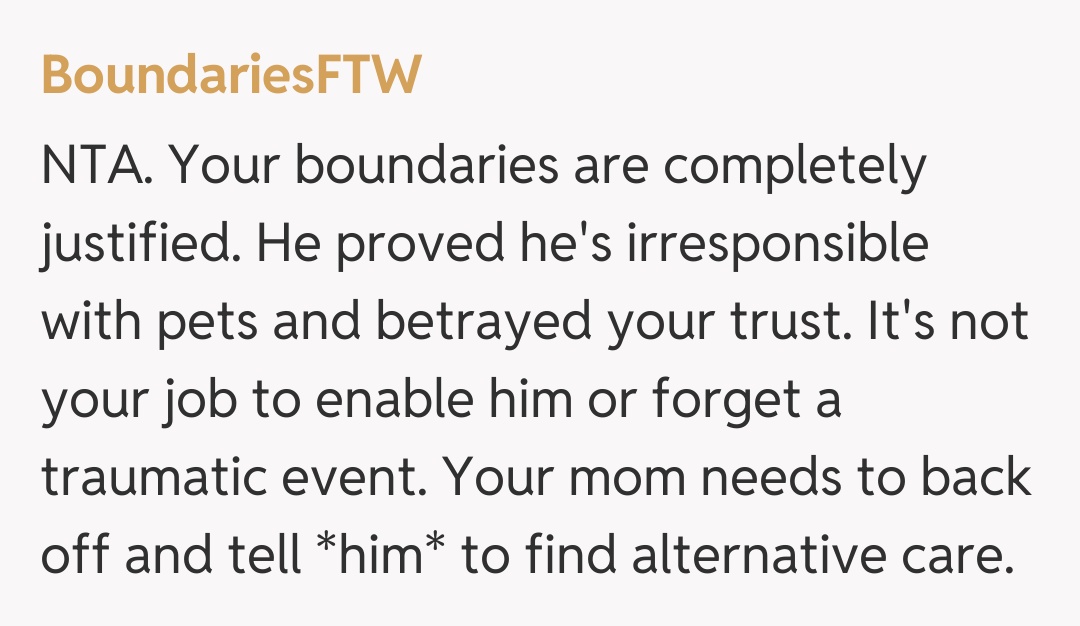 Comentariu de la BoundariesFTW