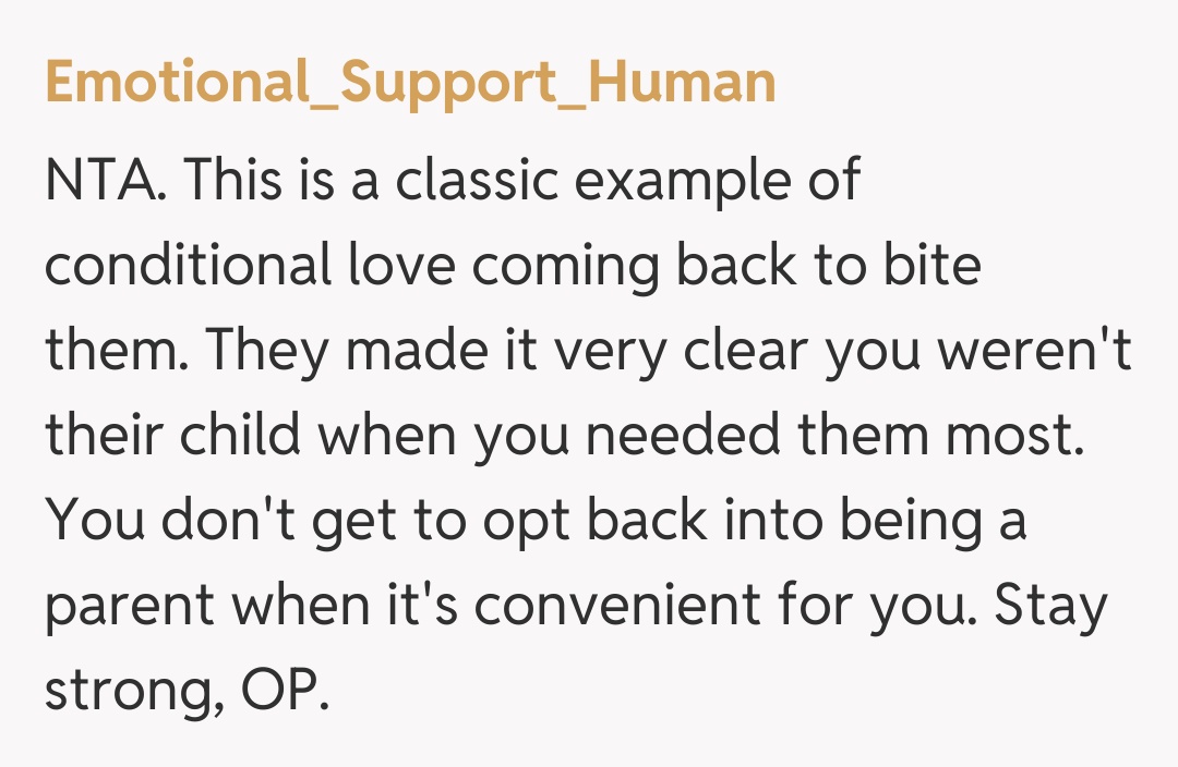Comentariu de la Emotional_Support_Human