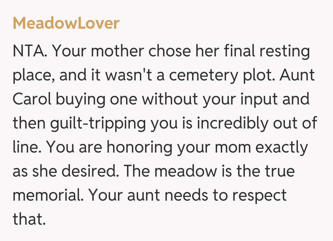 Comentariu de la MeadowLover