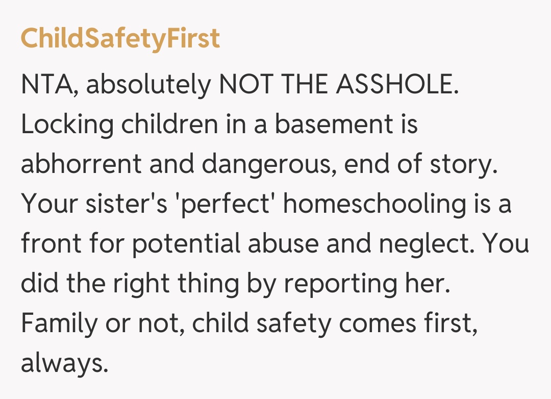 Comentariu de la ChildSafetyFirst