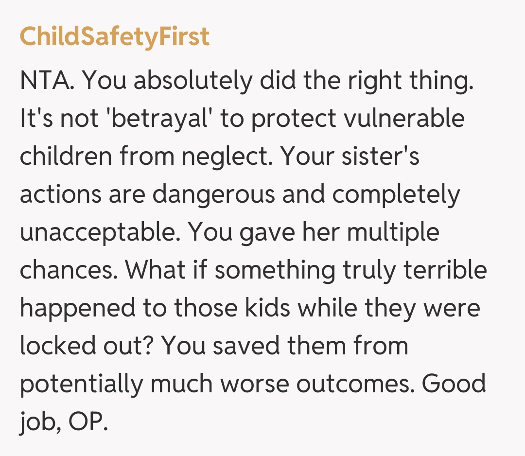 Comentariu de la ChildSafetyFirst