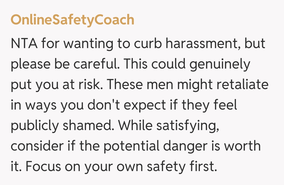 Comentariu de la OnlineSafetyCoach