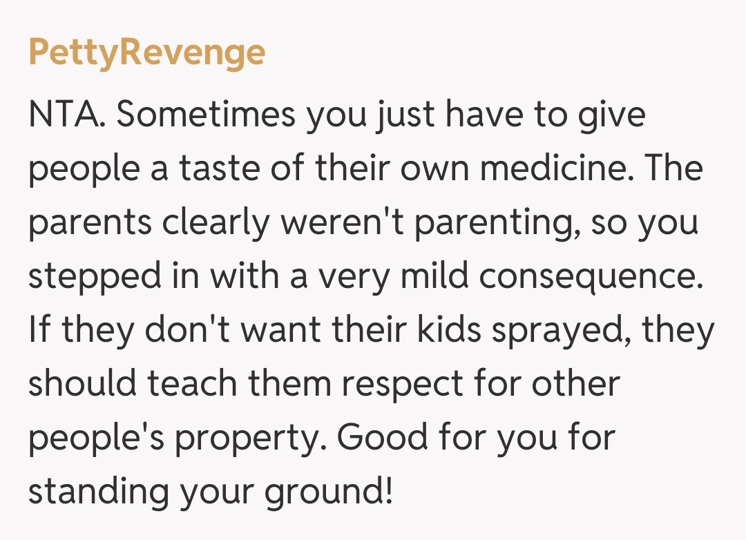 Comentariu de la PettyRevenge