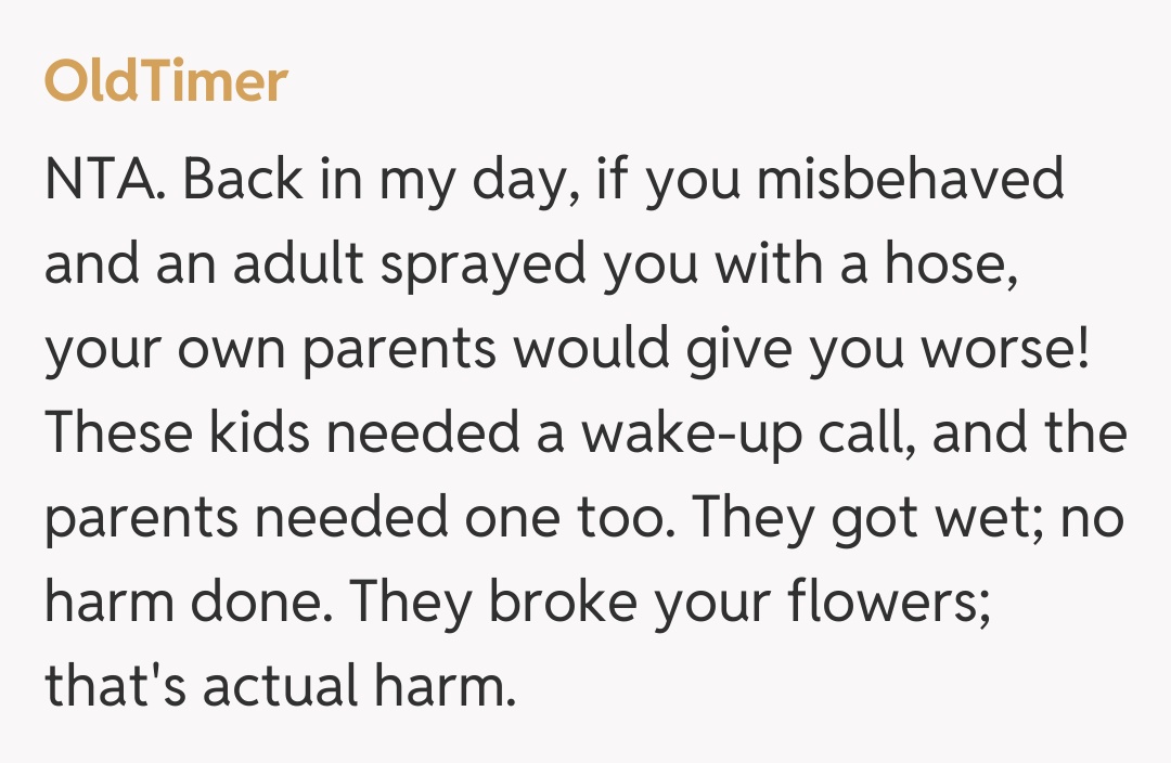 Comentariu de la OldTimer