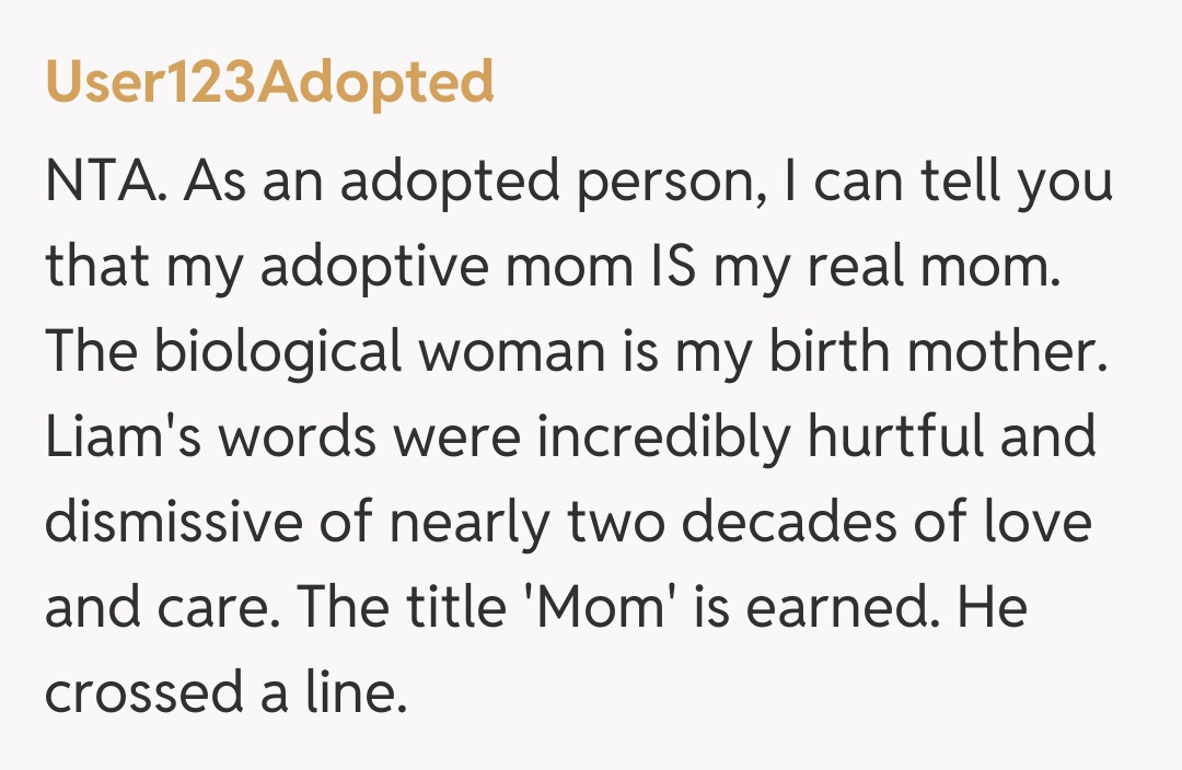 Comentariu de la User123Adopted