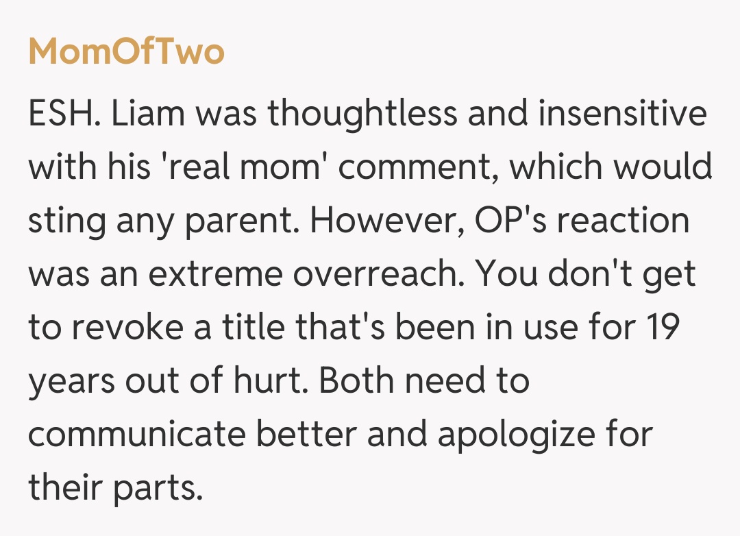 Comentariu de la MomOfTwo