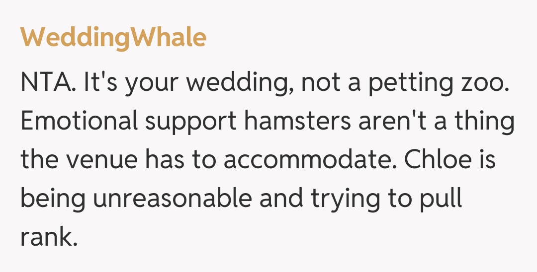 Comentariu de la WeddingWhale