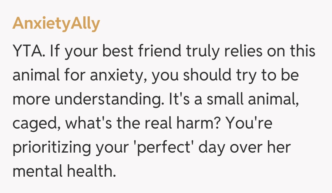 Comentariu de la AnxietyAlly