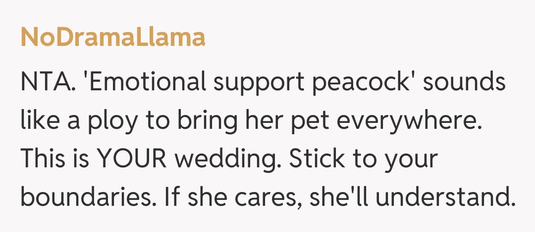 Comentariu de la NoDramaLlama