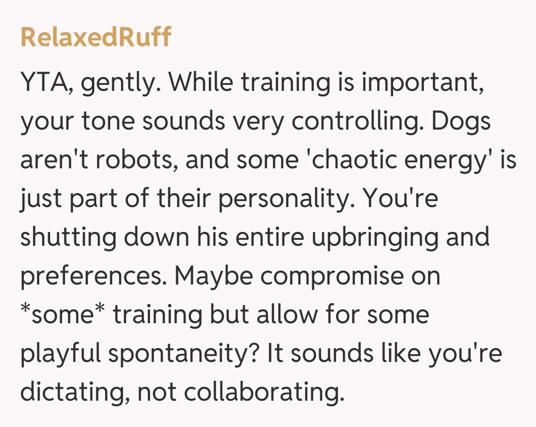 Comentariu de la RelaxedRuff