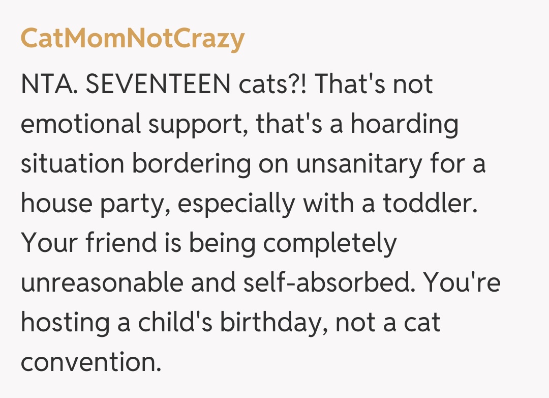 Comentariu de la CatMomNotCrazy