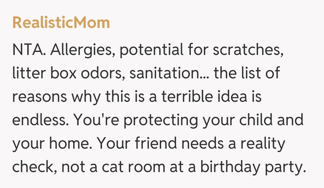 Comentariu de la RealisticMom