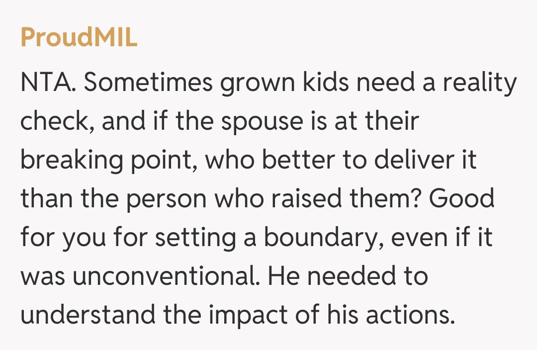 Comentariu de la ProudMIL