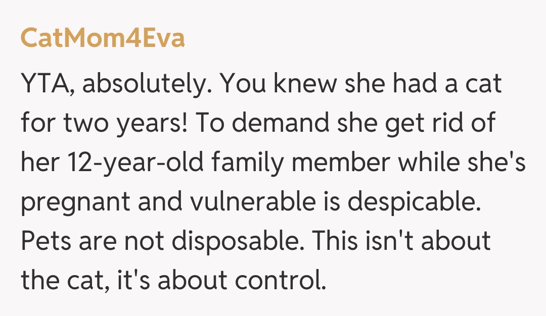 Comentariu de la CatMom4Eva