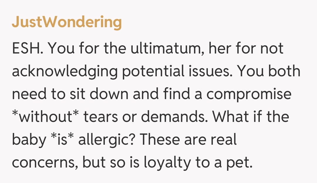 Comentariu de la JustWondering