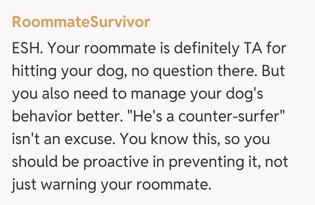 Comentariu de la RoommateSurvivor