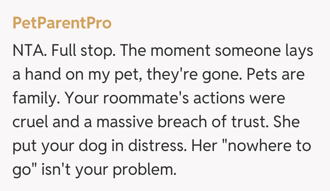 Comentariu de la PetParentPro