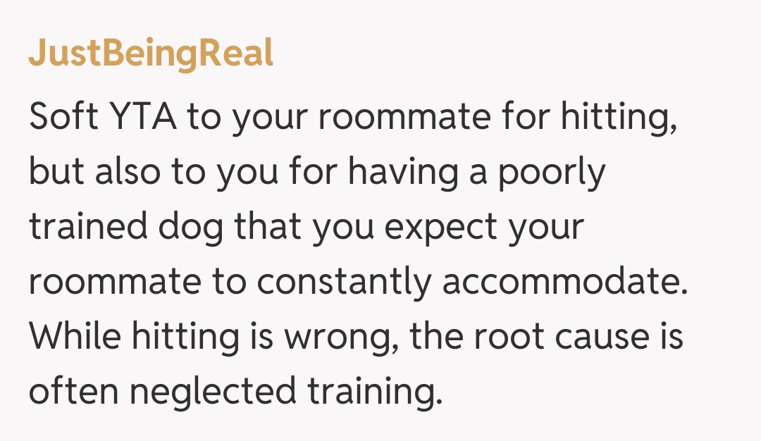 Comentariu de la JustBeingReal