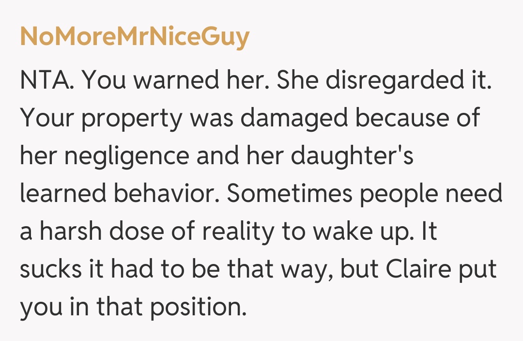 Comentariu de la NoMoreMrNiceGuy