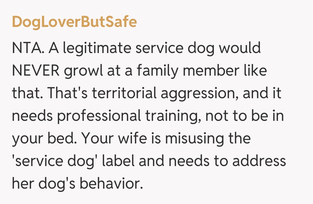 Comentariu de la DogLoverButSafe