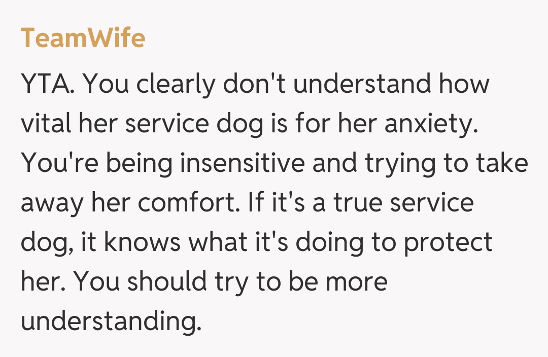 Comentariu de la TeamWife