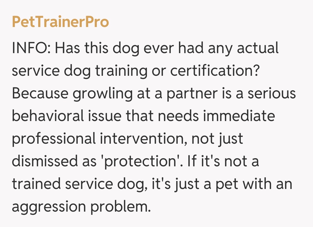 Comentariu de la PetTrainerPro