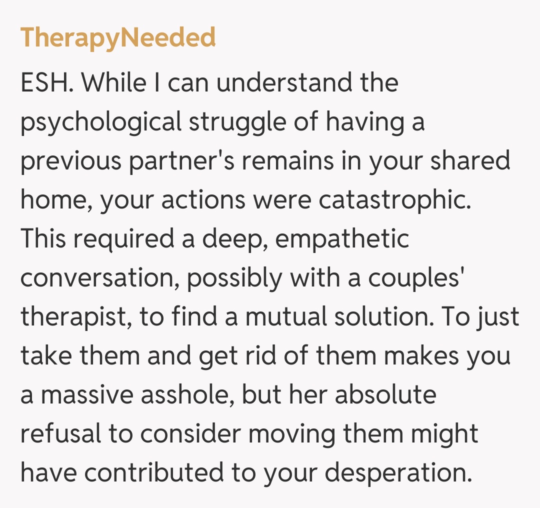 Comentariu de la TherapyNeeded