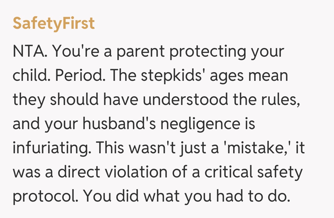 Comentariu de la SafetyFirst