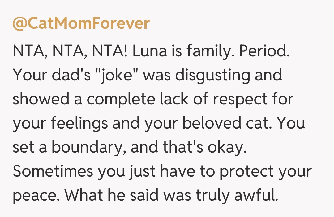 Comentariu de la @CatMomForever