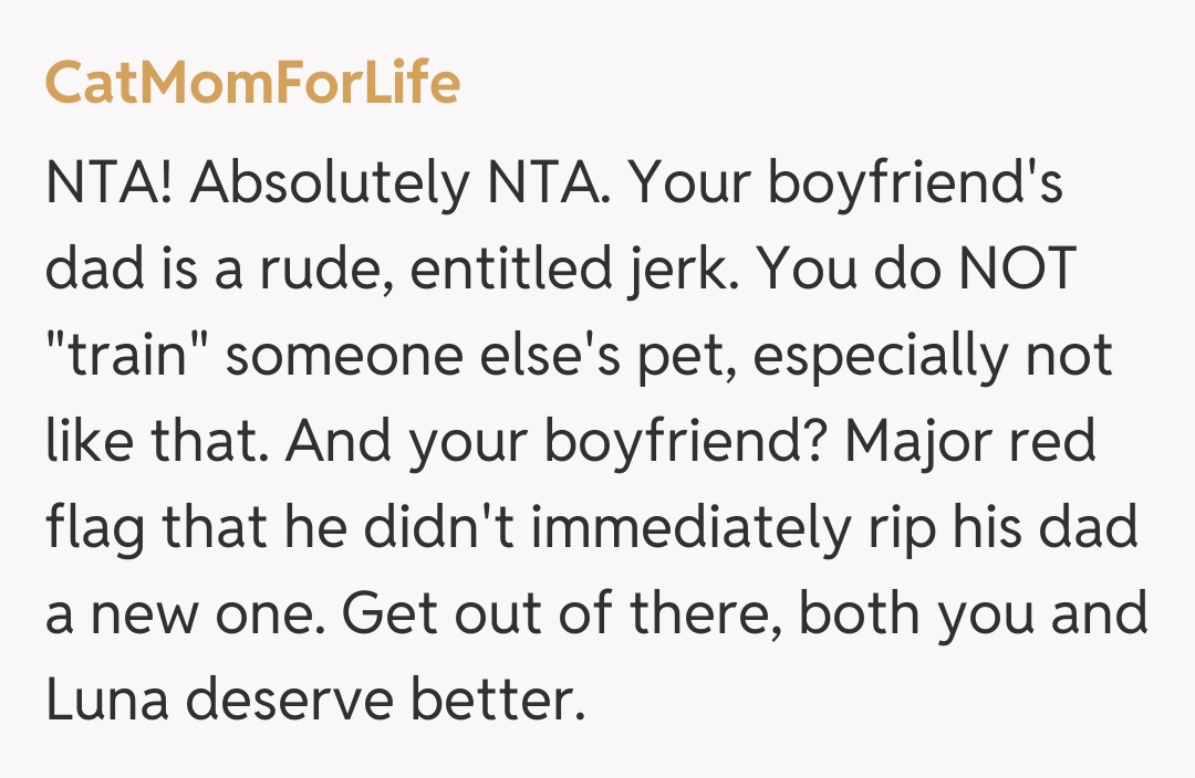 Comentariu de la CatMomForLife